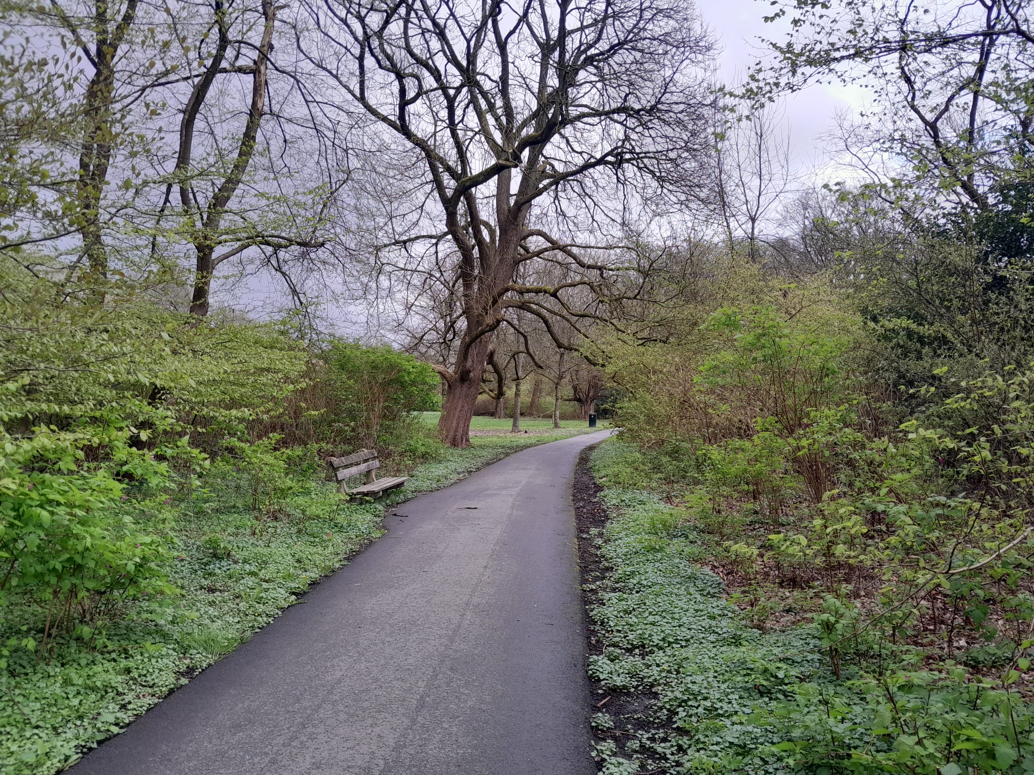 Photo at of an empty bench at a grey path with a grey sky. The weather is rainy, the park is very calm and quiet